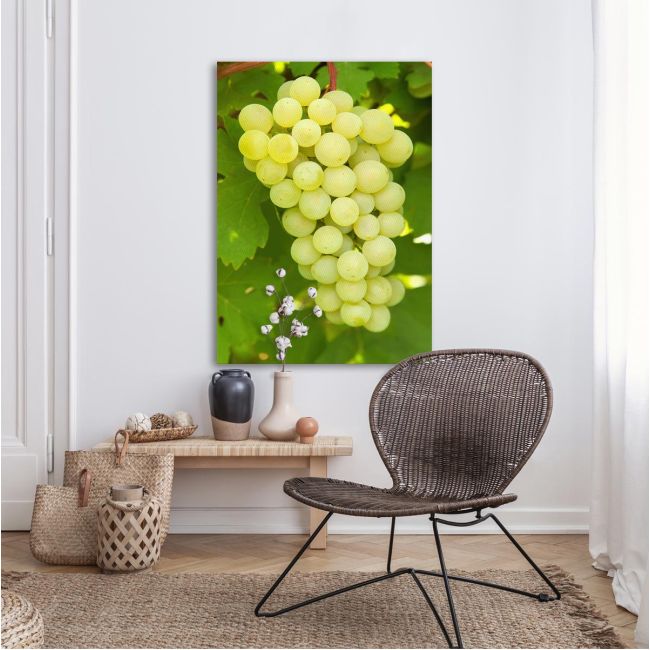 Canvas print Grapes