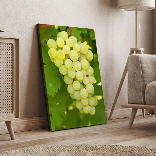 Canvas print Grapes