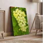 Canvas print Grapes