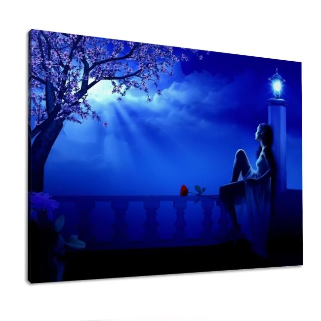 Canvas print Blue night