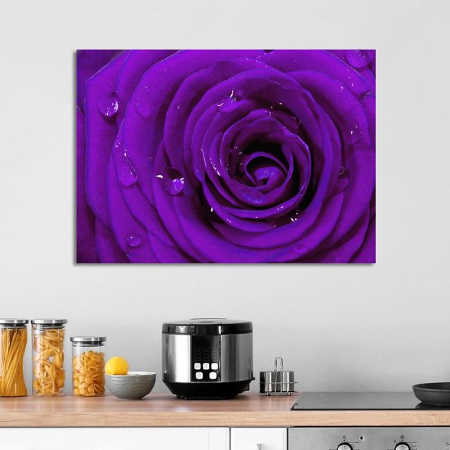 Πίνακας σε καμβά Τριαντάφυλλο, Purple rose