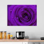 Πίνακας σε καμβά Τριαντάφυλλο, Purple rose