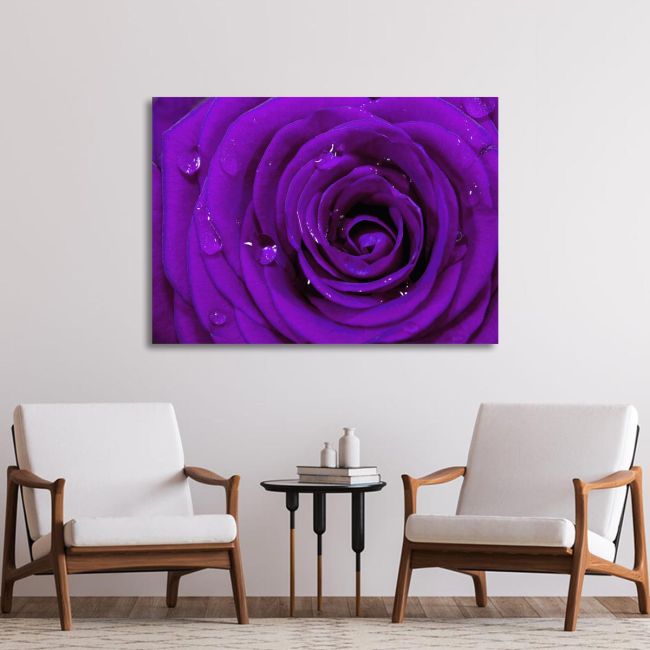 Πίνακας σε καμβά Τριαντάφυλλο, Purple rose