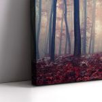 Canvas print Mystic forest