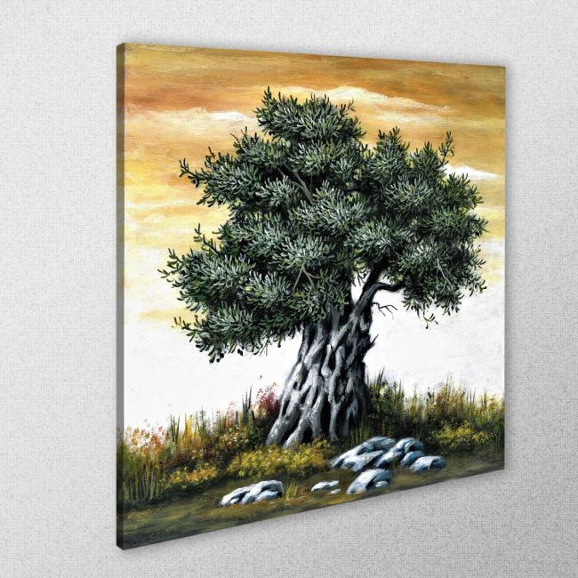 Canvas print Olive tree in sunset