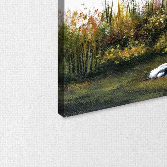 Canvas print Olive tree in sunset