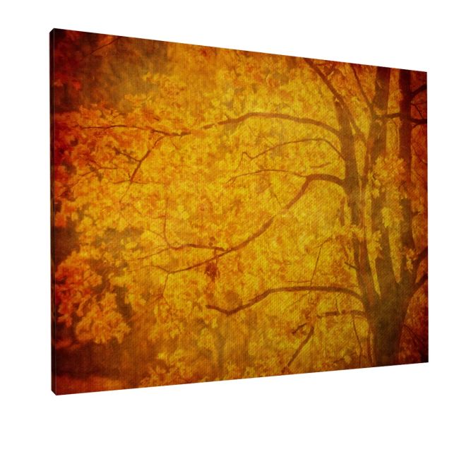 Πίνακας σε καμβά Grunge background with autumn leaves