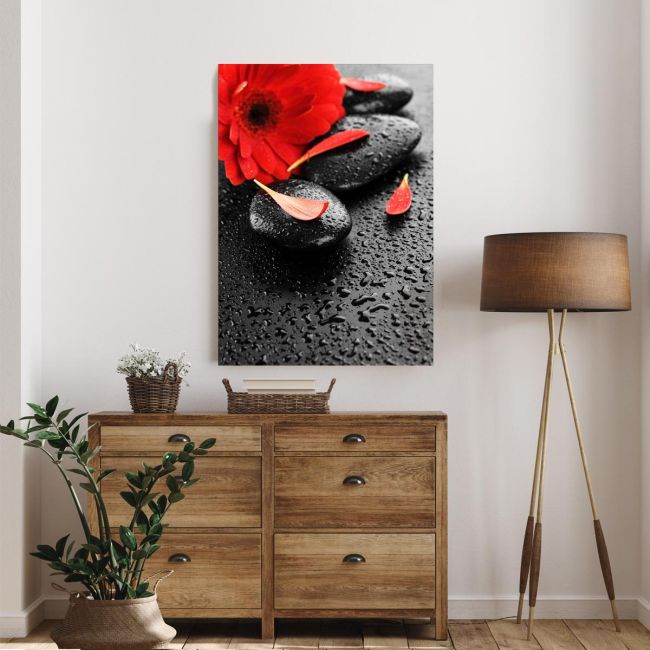 Canvas print spa stones & red flower