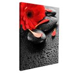 Canvas print spa stones & red flower