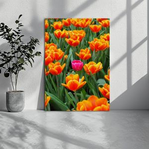 Canvas print Pink tulip between orange
