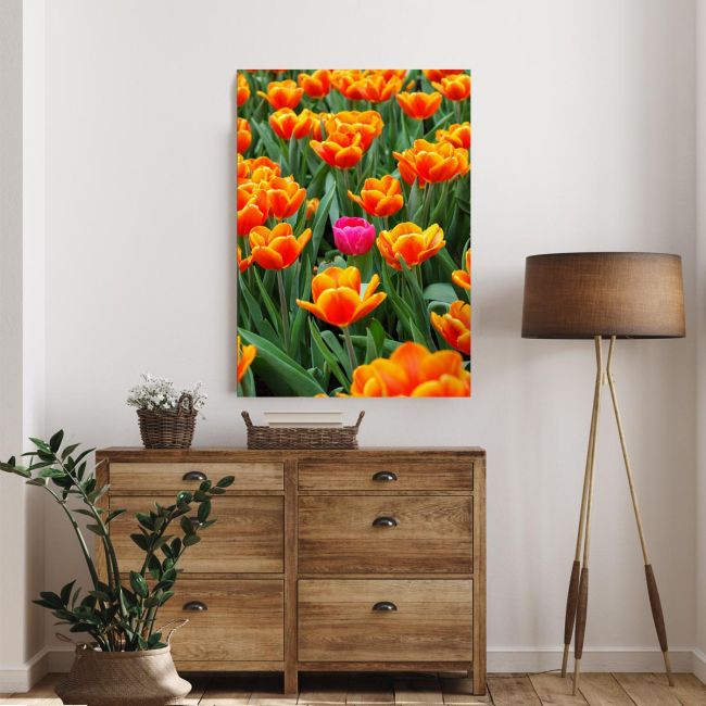 Canvas print Pink tulip between orange