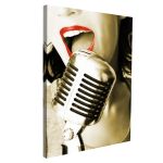 Πίνακας σε καμβά Τραγουδίστρια, Singer