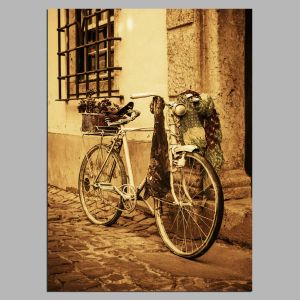 Canvas print Vintage bicycle