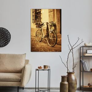 Canvas print Vintage bicycle 2