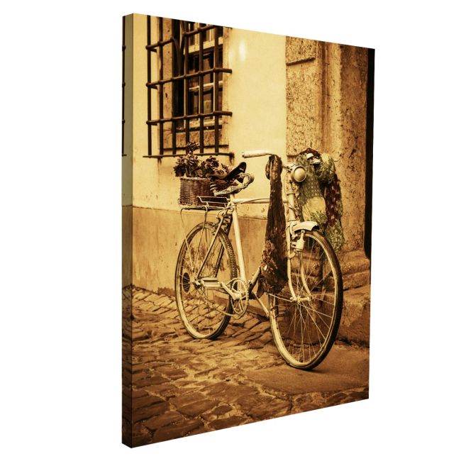 Canvas print Vintage bicycle