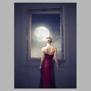 Πίνακας σε καμβά Under the moonlight, κάθετος