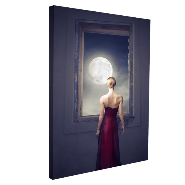 Πίνακας σε καμβά Under the moonlight, κάθετος