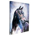 Canvas print Black horse watercolors