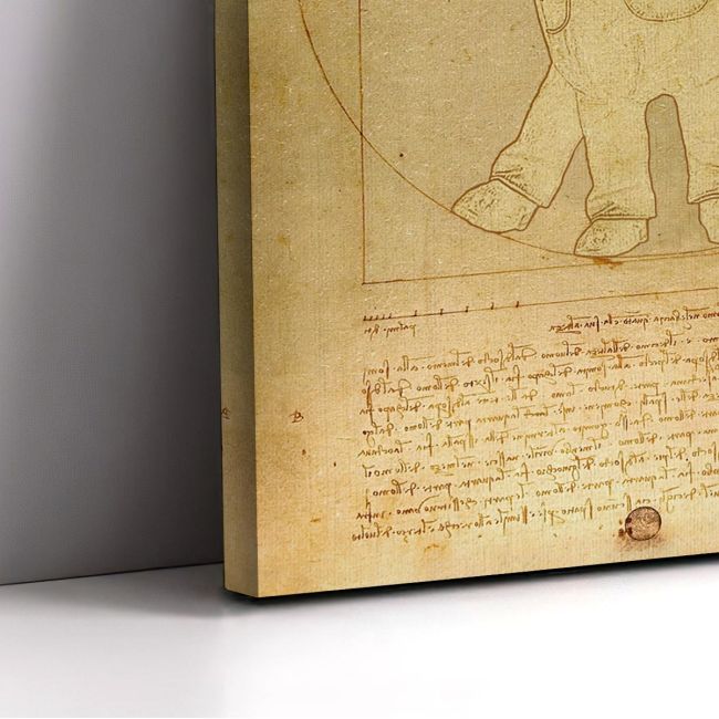 Πίνακας ζωγραφικής The Vitruvian minion reart, (original Leonardo da Vinci)