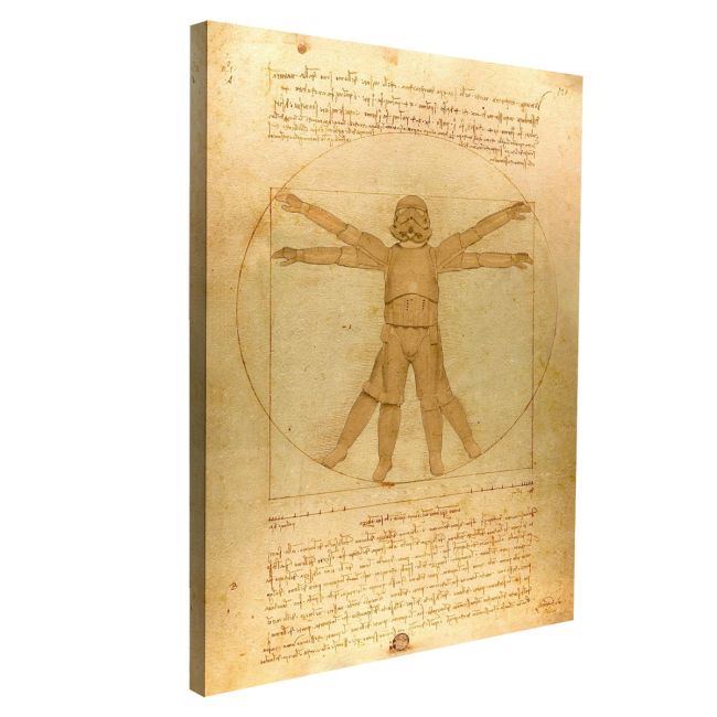 Πίνακας σε καμβά The Vitruvian trooper reart, (original Leonardo da Vinci)