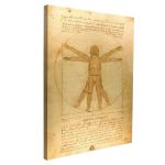 Canvas print The Vitruvian trooper reart, (original Leonardo da Vinci)