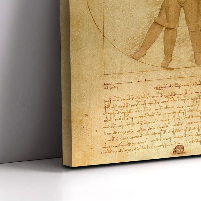 Canvas print The Vitruvian trooper reart, (original Leonardo da Vinci)
