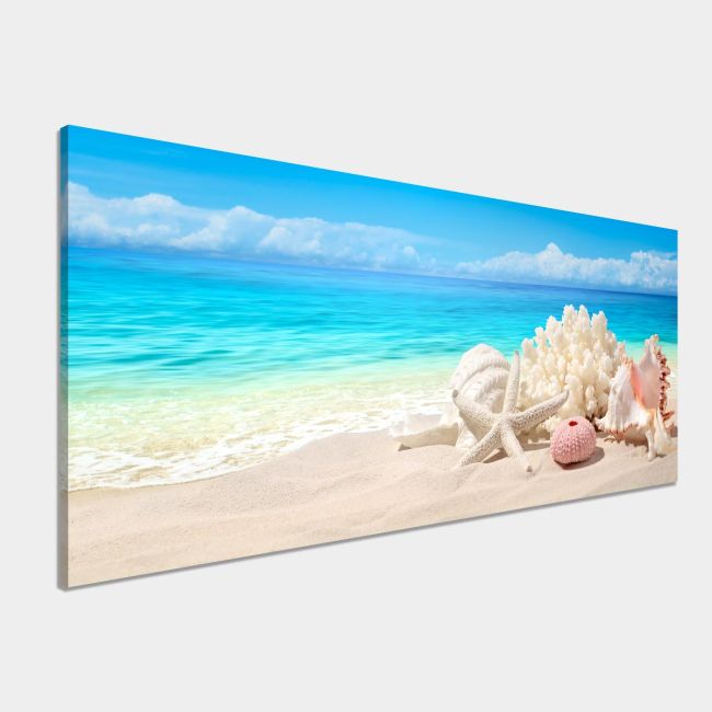 Πίνακας σε καμβά Seashells on sand beach, πανοραμικός