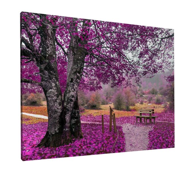 Πίνακας σε καμβά Πάρκο, Purple dream