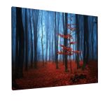 Canvas printAutumnal foggy forest I