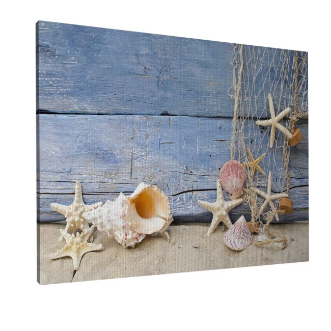 Πίνακας σε καμβά κοχύλια και αστερίες, Nautilus and starfish