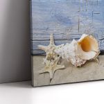 Canvas print Nautilus and starfish