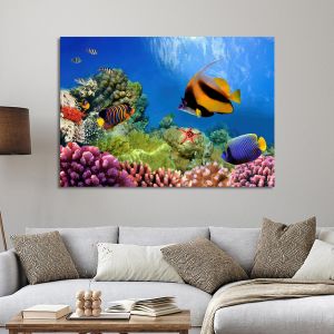 Πίνακας σε καμβά Βυθός, Marine life on the coral reef