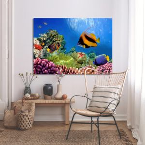 Πίνακας σε καμβά Βυθός, Marine life on the coral reef 2