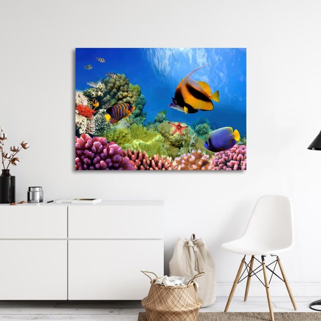 Canvas print Sea bottom, Marine life on the coral reef
