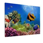 Canvas print Sea bottom, Marine life on the coral reef