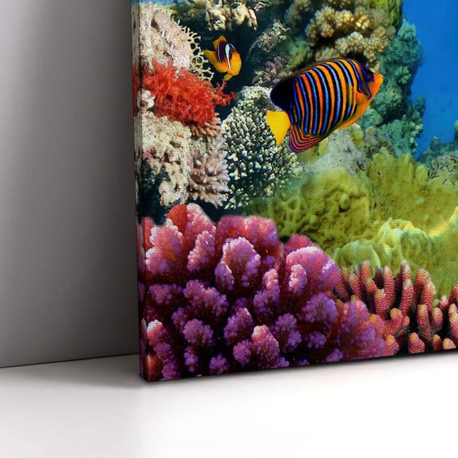 Πίνακας σε καμβά Βυθός, Marine life on the coral reef