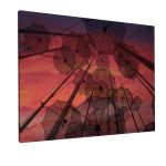 Canvas print Umbrellas Thessaloniki