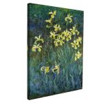 Canvas print Yellow irises, Monet C.