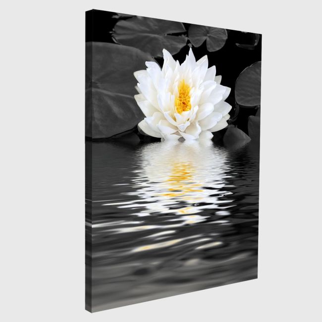 Canvas print White lily beauty