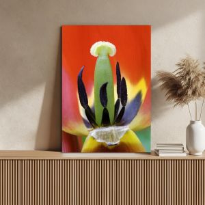 Canvas print Red tulip heart