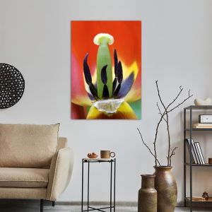 Canvas print Red tulip heart 2