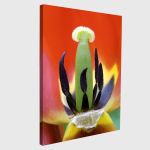 Canvas print Red tulip heart