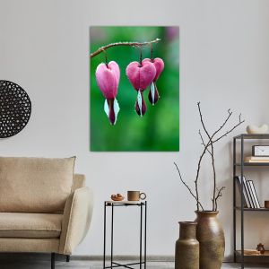 Πίνακας σε καμβά Pink bleeding heart 2