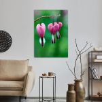 Πίνακας σε καμβά Pink bleeding heart