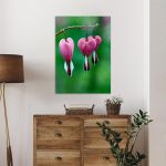 Canvas print Pink bleeding heart