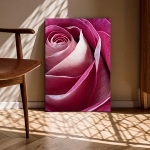 Πίνακας σε καμβά Τριαντάφυλλο, Single pink rose