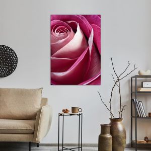 Canvas print Rose, Single pink rose 2