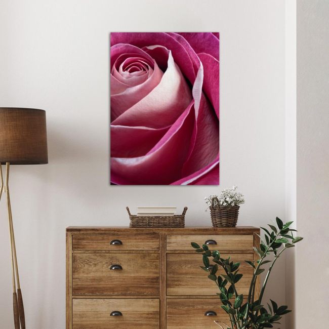 Πίνακας σε καμβά Τριαντάφυλλο, Single pink rose
