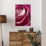 Canvas print Rose, Single pink rose