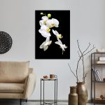 Πίνακας σε καμβά Ορχιδέες, Orchidaceae Phalaenopsis